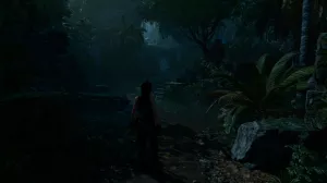 Shadow-of-the-Tomb-Raider_40
