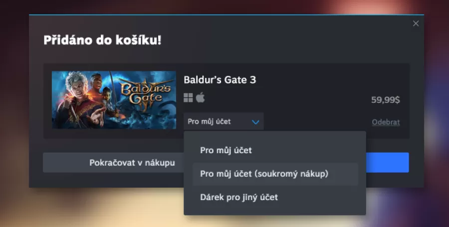 steam n&aacute;kupn&yacute; ko&scaron;&iacute;k s&uacute;kromn&eacute;