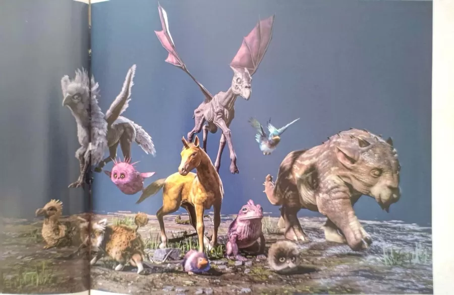 Hogwarts Legacy Artbook foto 4
