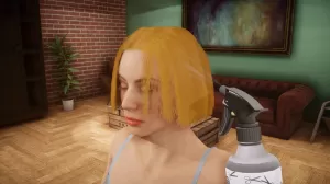 Box-art pre hru s názvom Hairdresser Simulator