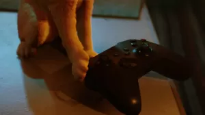 Mačacia adventúra Stray príde na Xbox