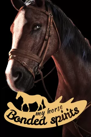 Box-art pre hru s názvom My Horse: Bonded Spirits