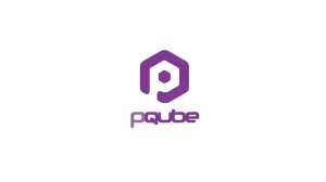 Box-art pre hru s názvom PQube