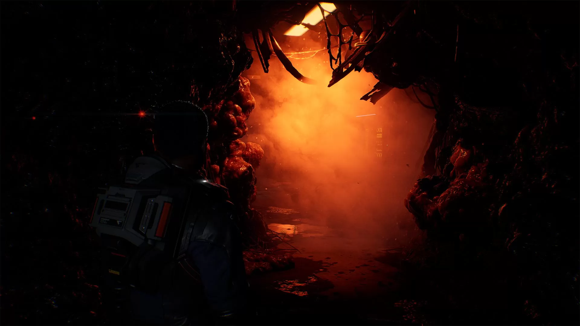 Directive 8020 screenshot 3
