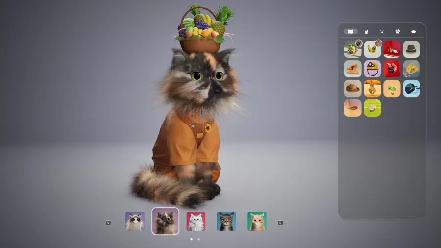 Catly Screenshot 4