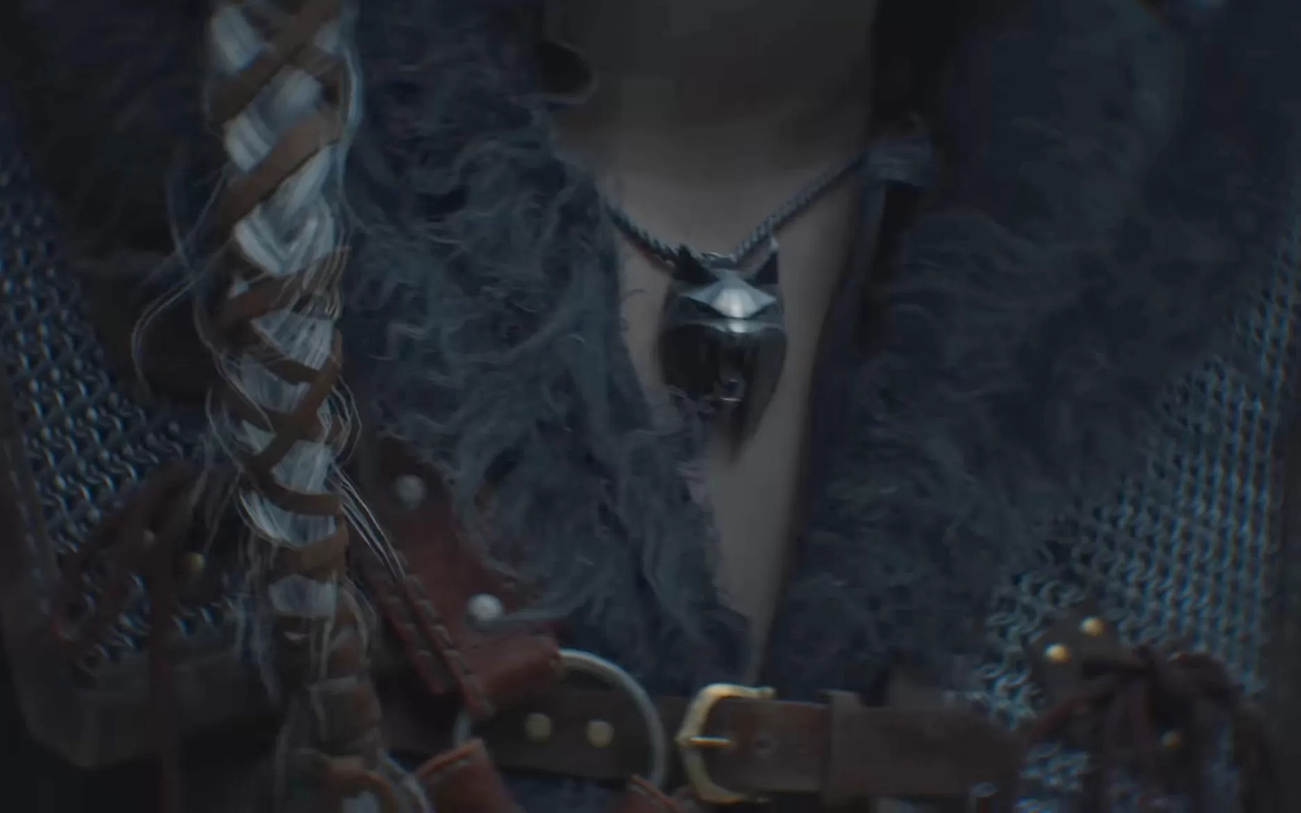 The Witcher Ciri Lynx School
