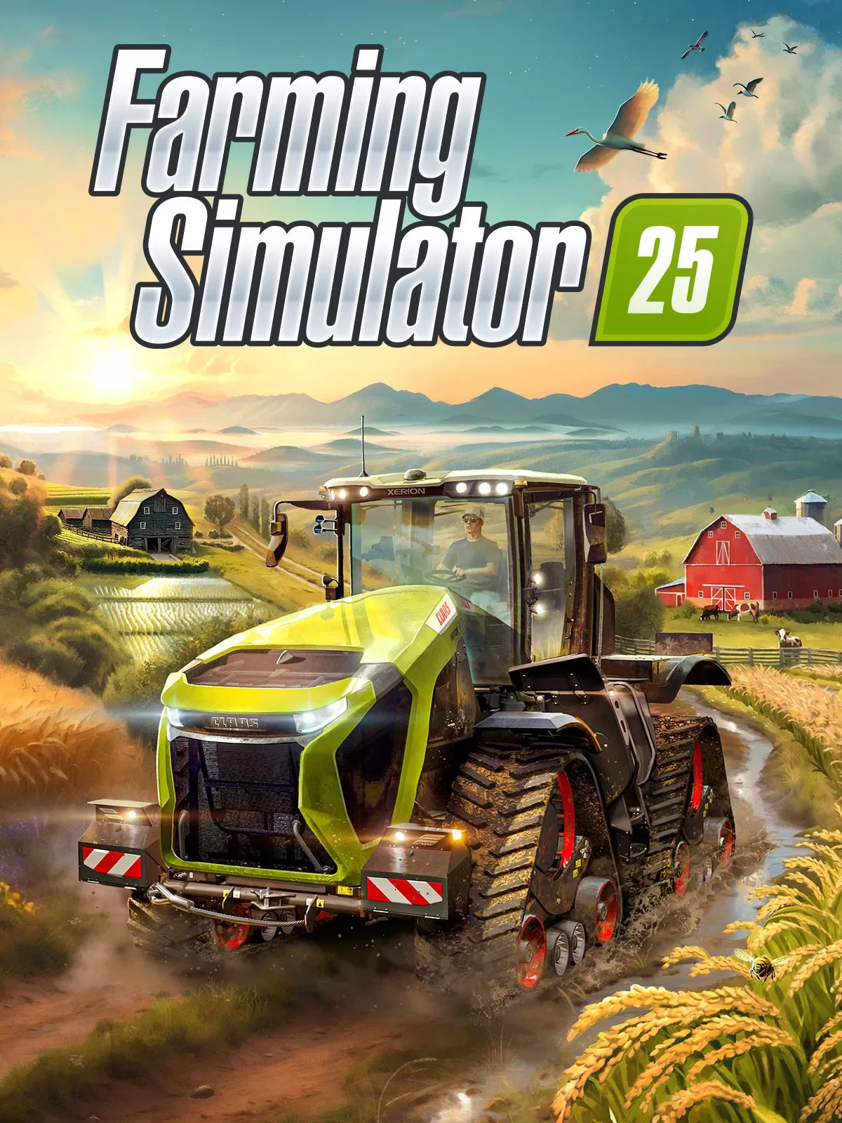 Box-art pre Farming Simulator 25