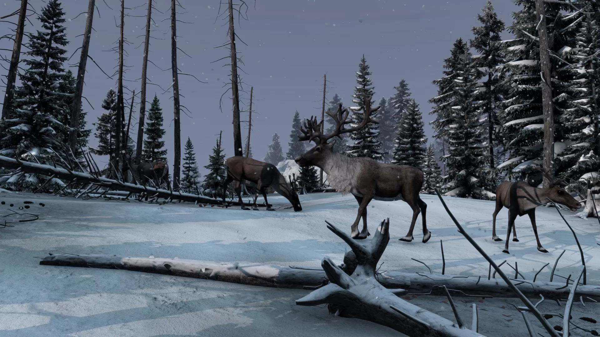 DayZ_Frostline_Foto_4