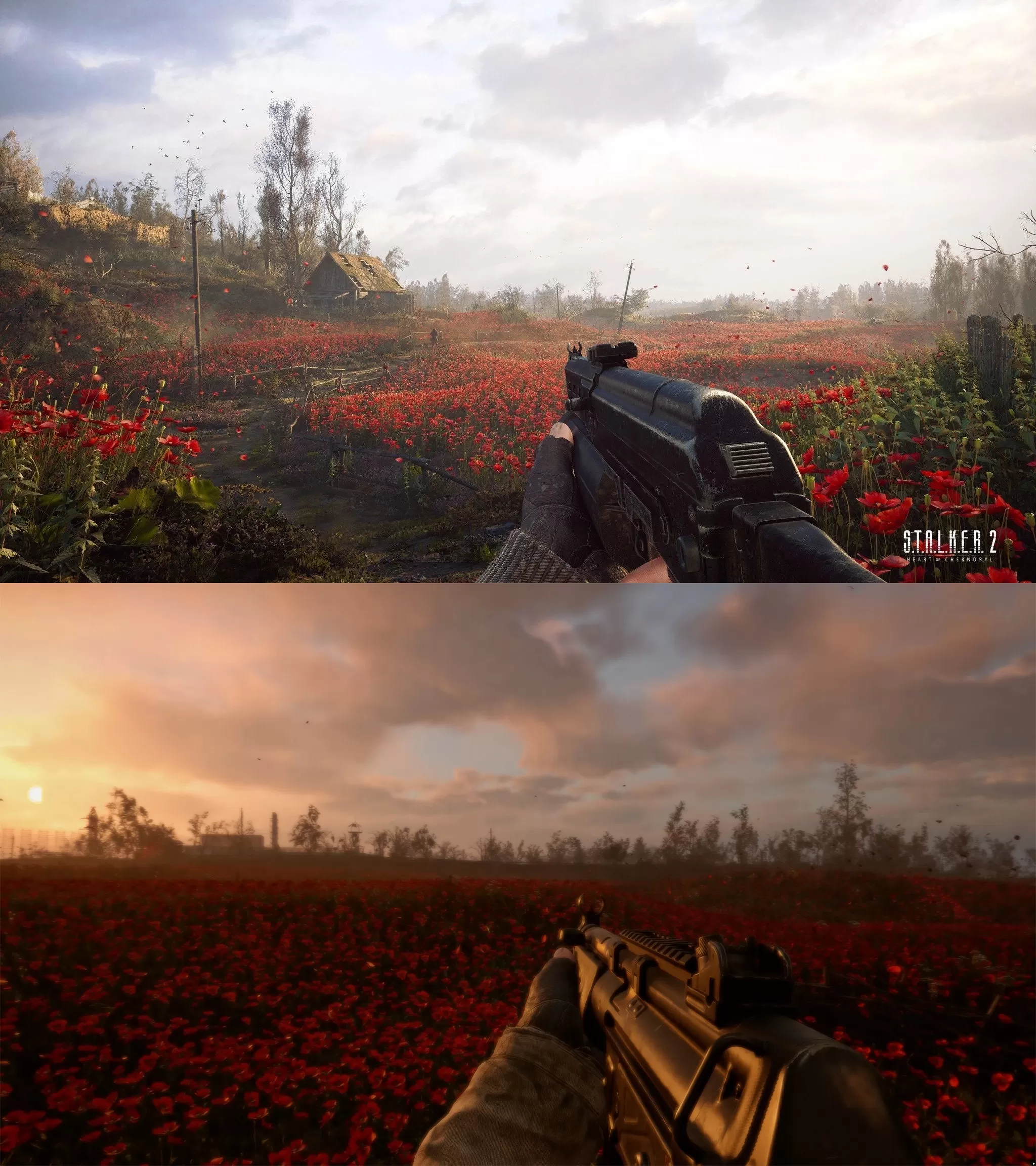 Stalker 2 downgrade