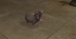 Moo Deng Final Fantasy XIV v hre