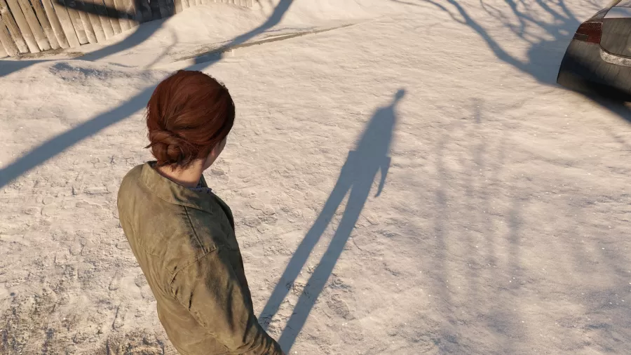 The Last of Us Part II PC screenshot 6