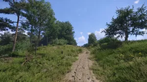 Kingdom Come Deliverance 2 Screenshot 19