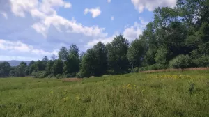 Kingdom Come Deliverance 2 Screenshot 23