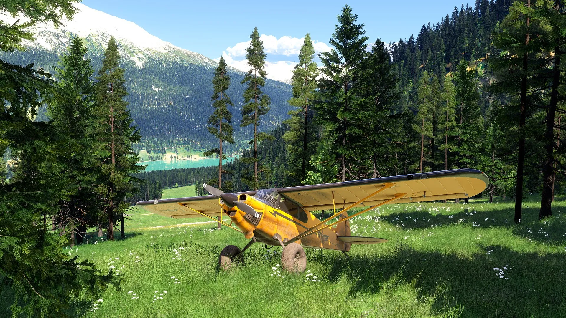 Microsoft Flight Simulator 2024 PlayStation 5 screenshot 3