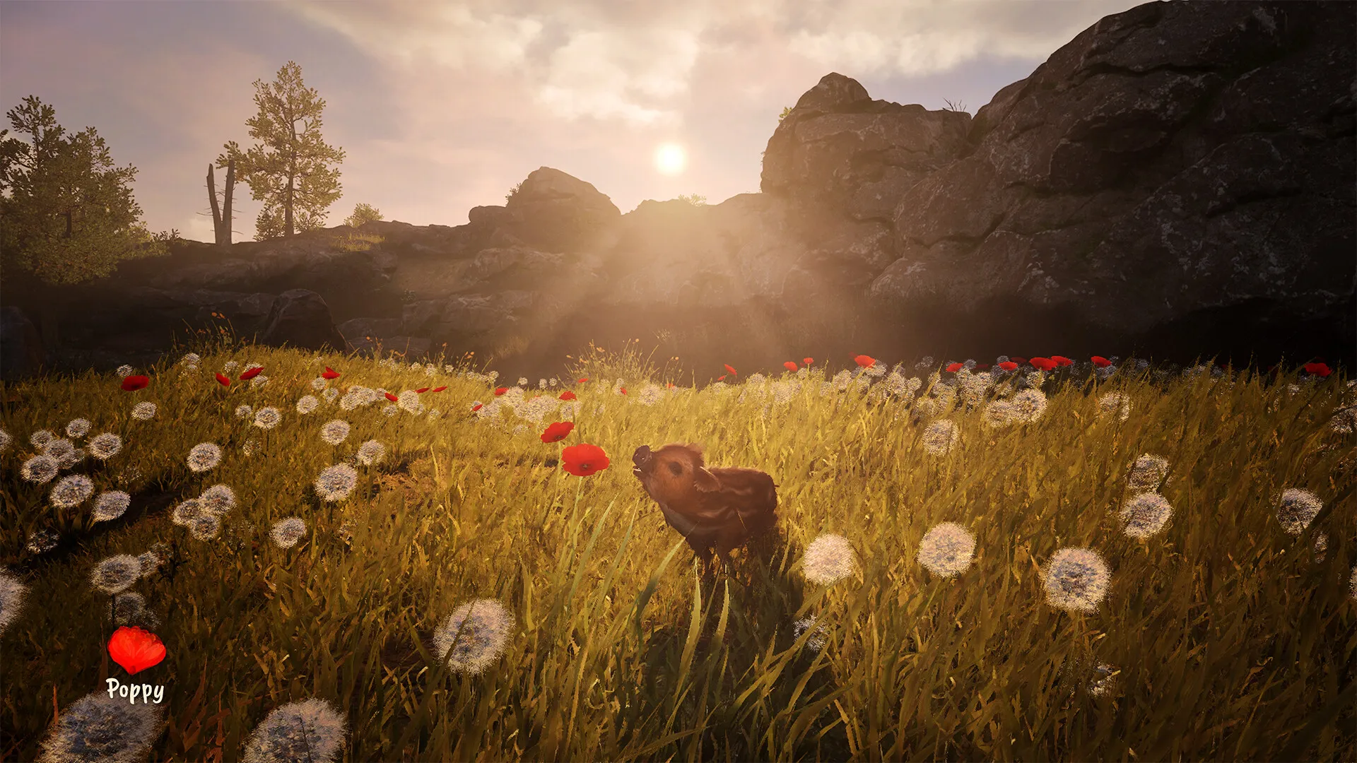 Adorable Adventures screenshot 3