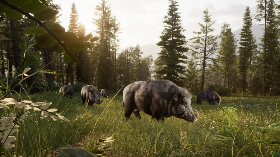 Way of the Hunter 2 Screenshot 07
