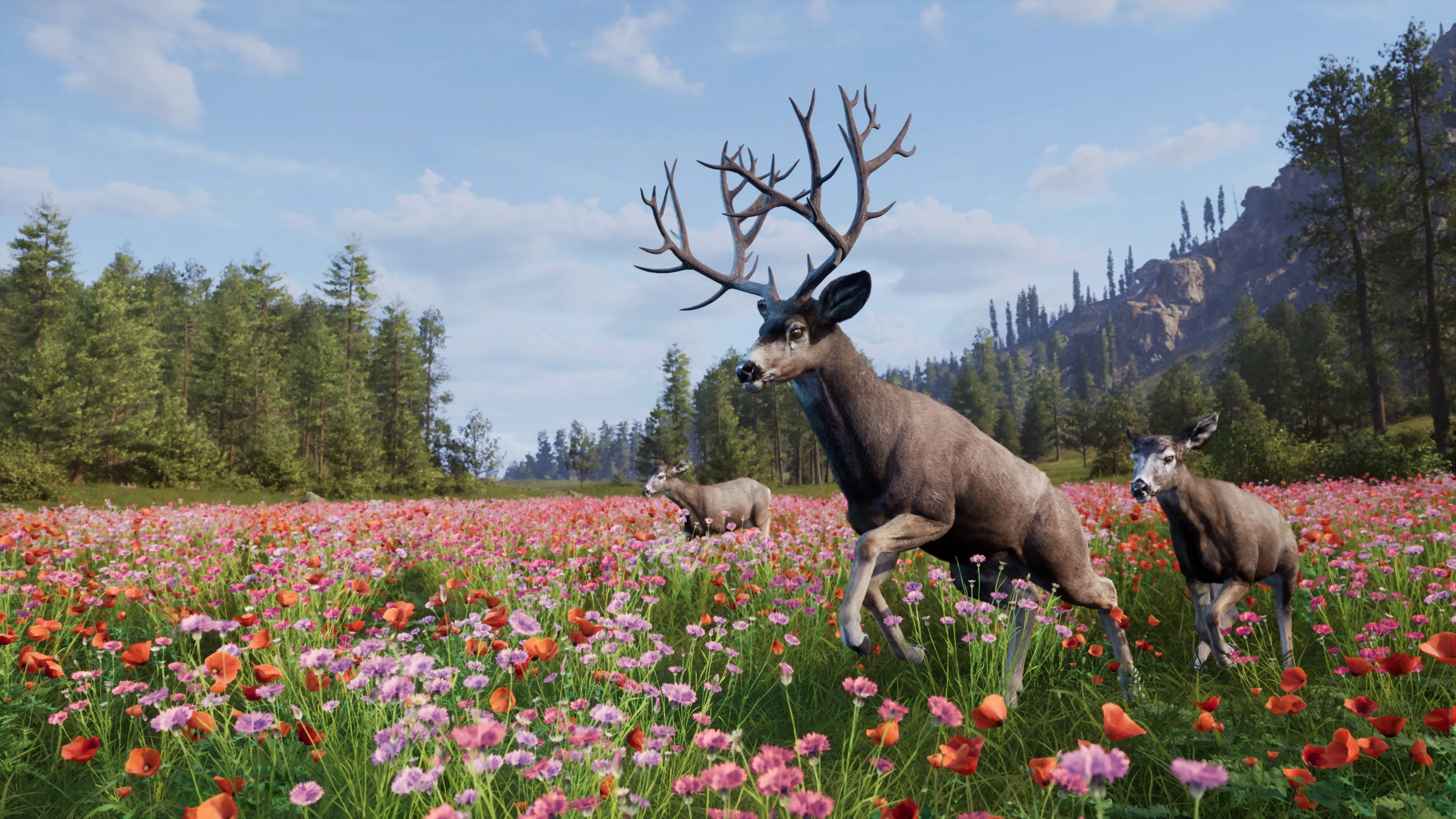 Way of the Hunter 2 Screenshot 04