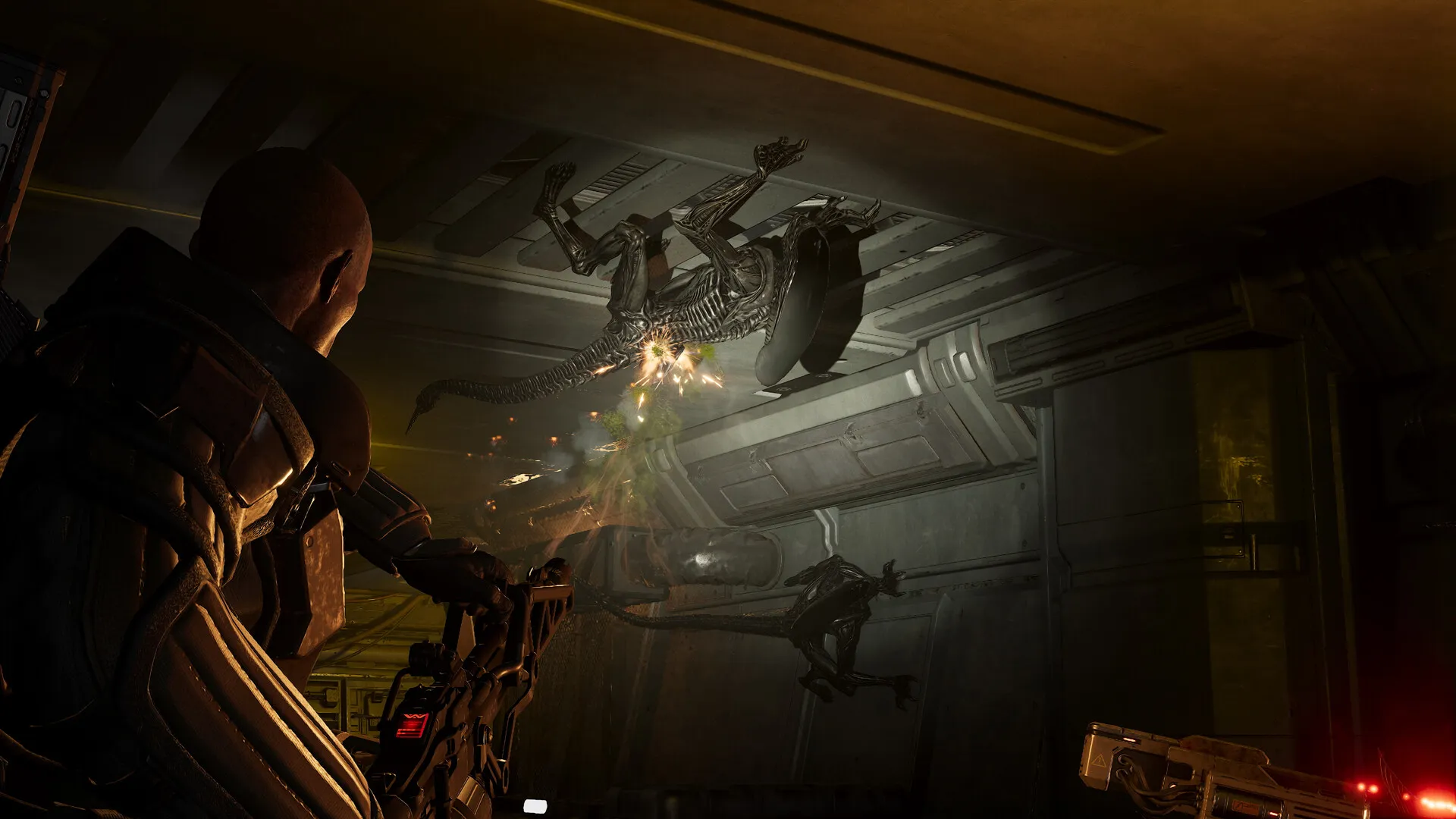 Aliens Fireteam Elite 2 screenshot 3