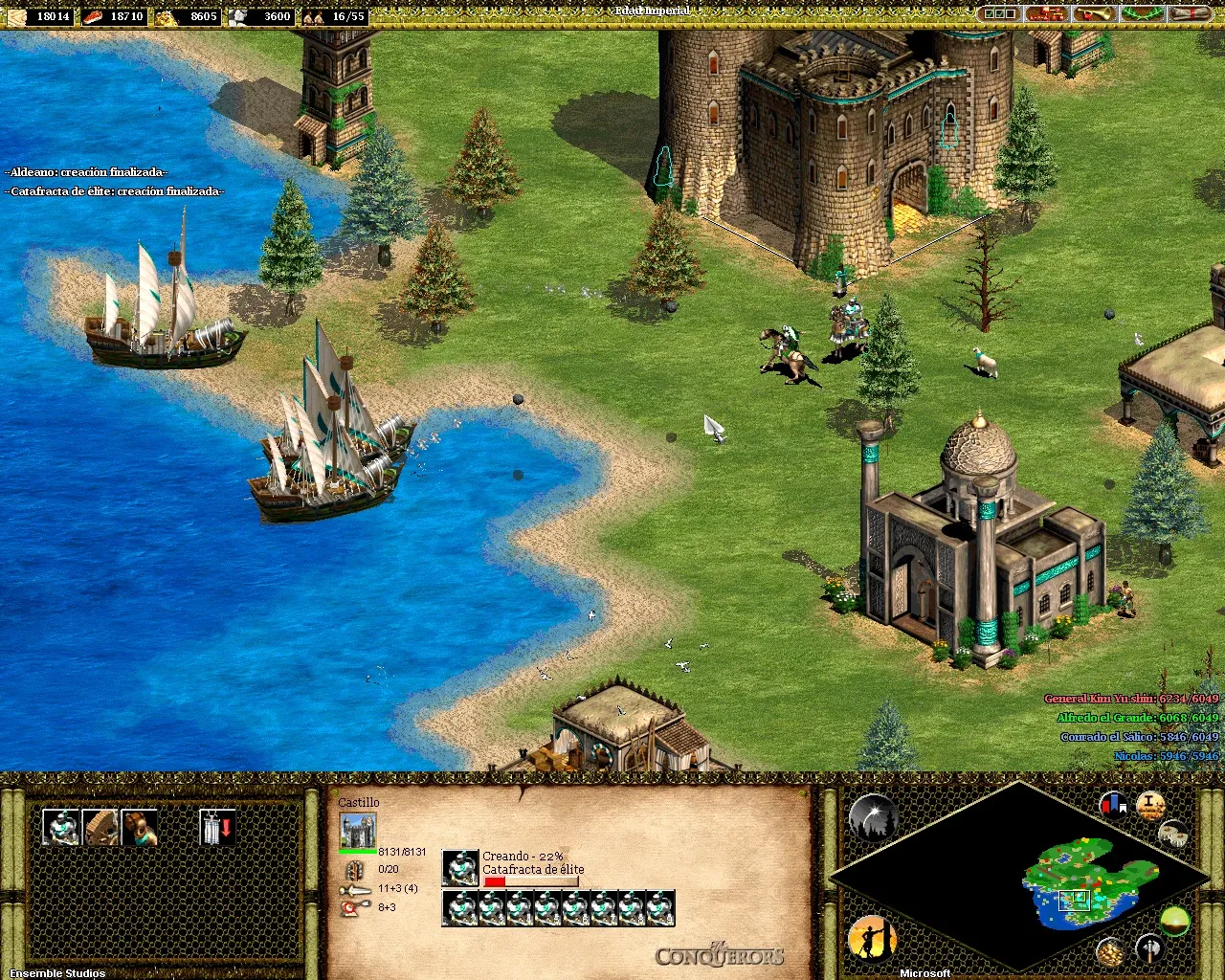 Age of Empires 2